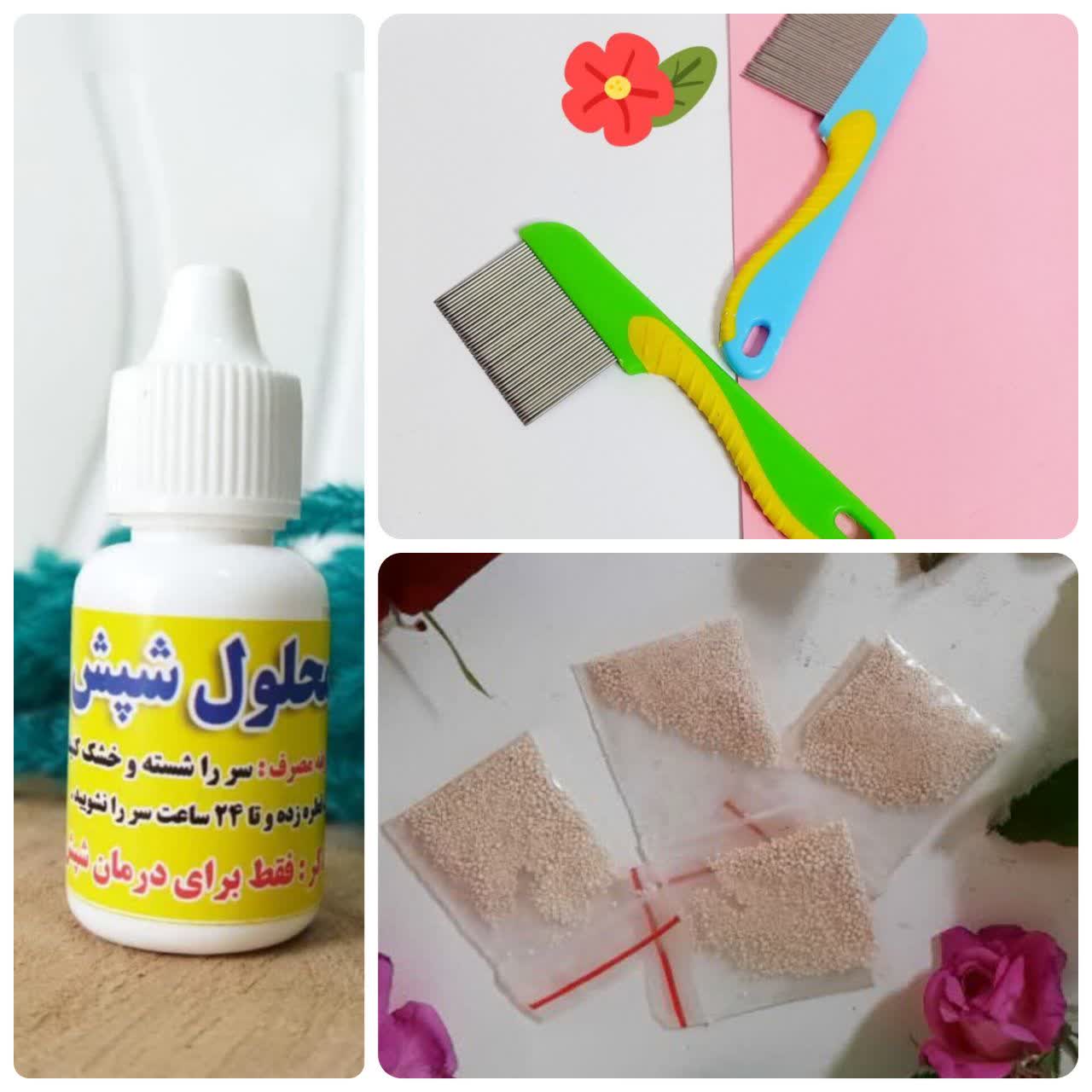 پک شپش اصلی و تضمینی