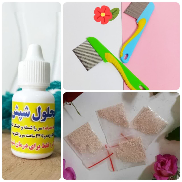 پک شپش اصلی و تضمینی